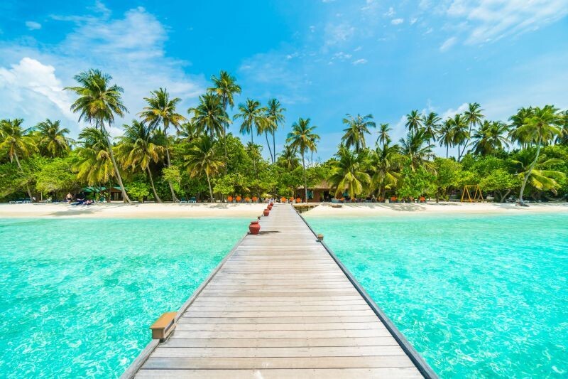 Изучение уникальной экосистемы Мадагаскара